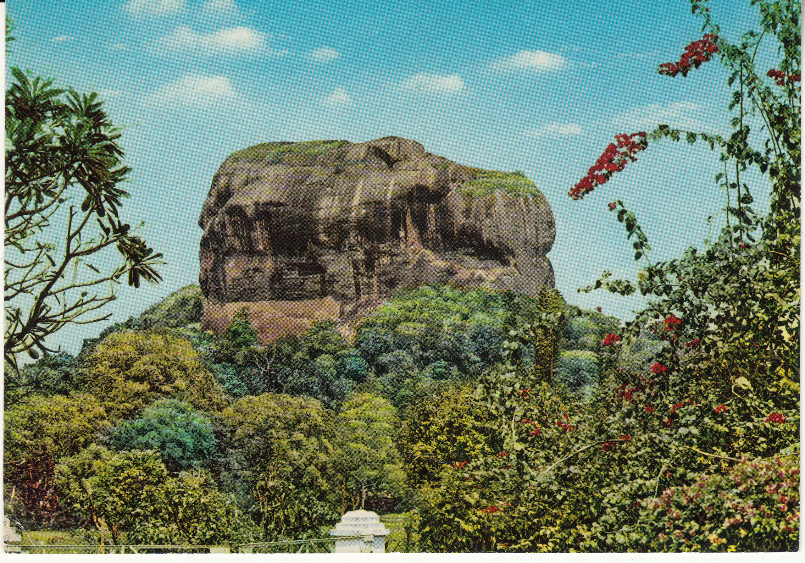 1.432- 9 Krüger Postcard Ceylon- Sri Lanka