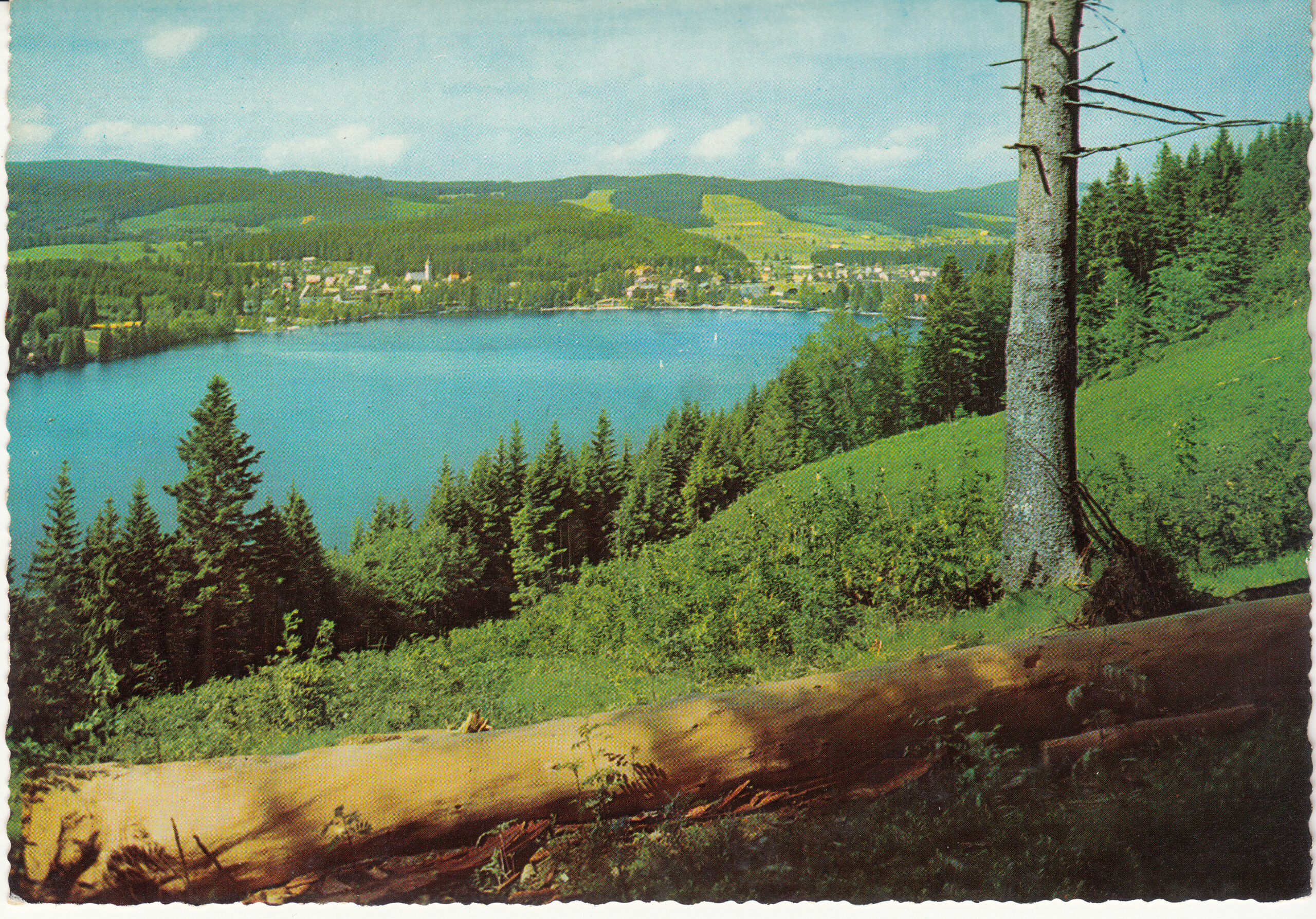0.731- 24 Krüger Postcard Germany Hochschwarzwald Ttitisee