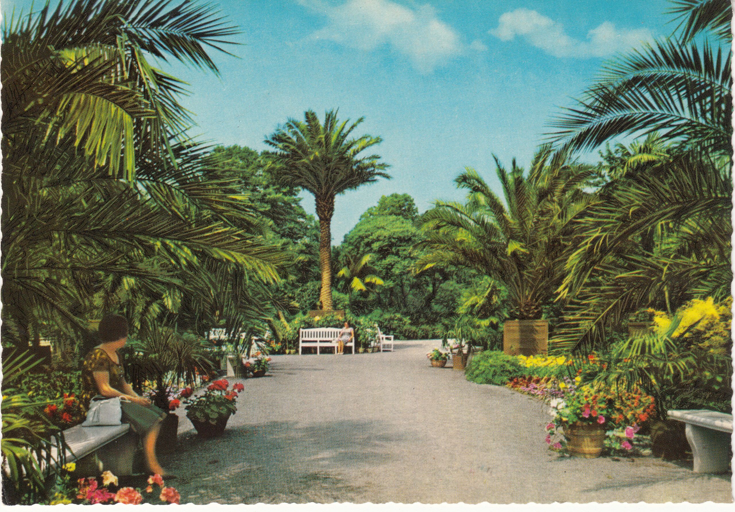 1.193- 7 Krüger Postcard Germany Pyrmont