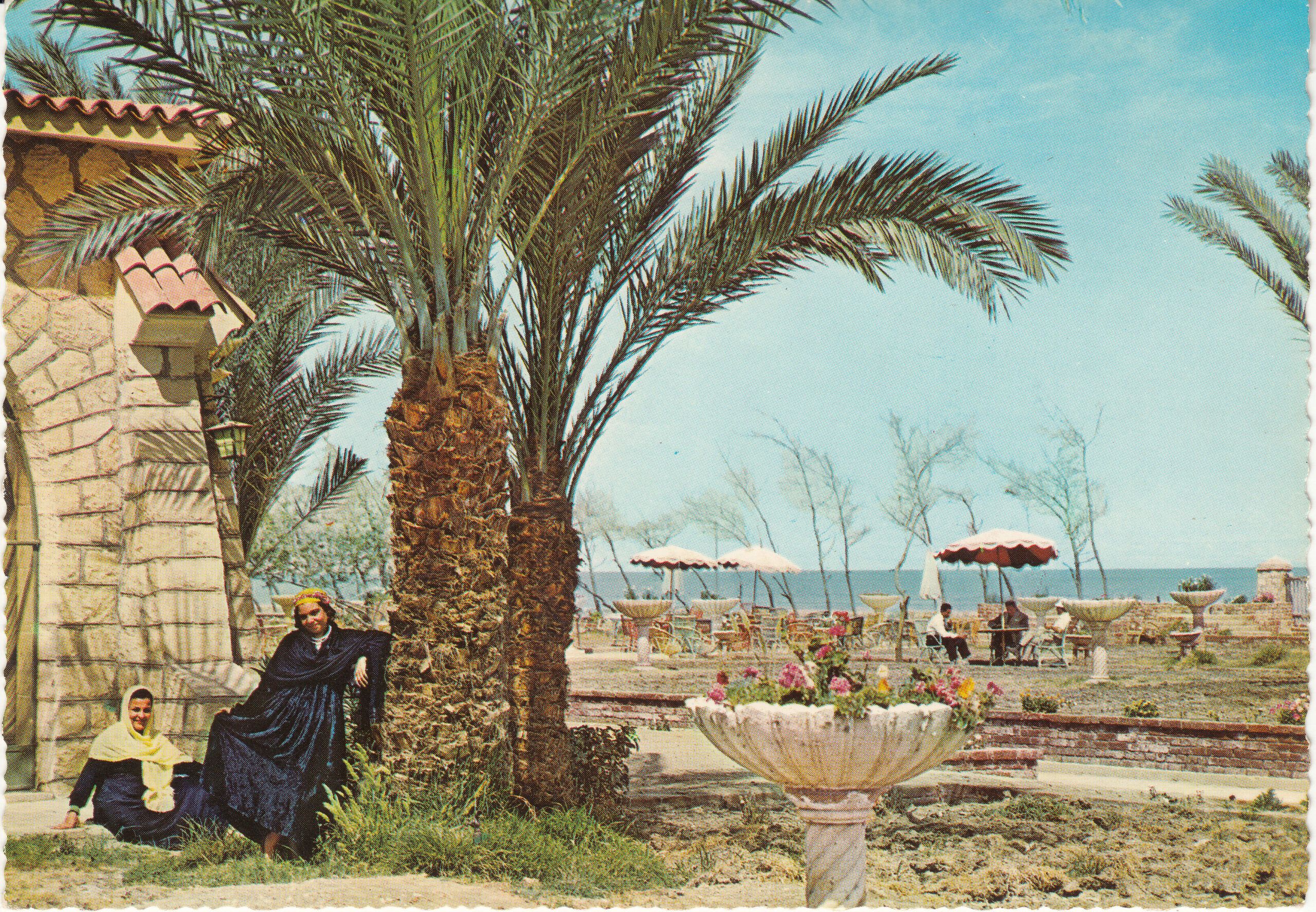 0.746- 12 Krüger Postcard Egypt Fayoum