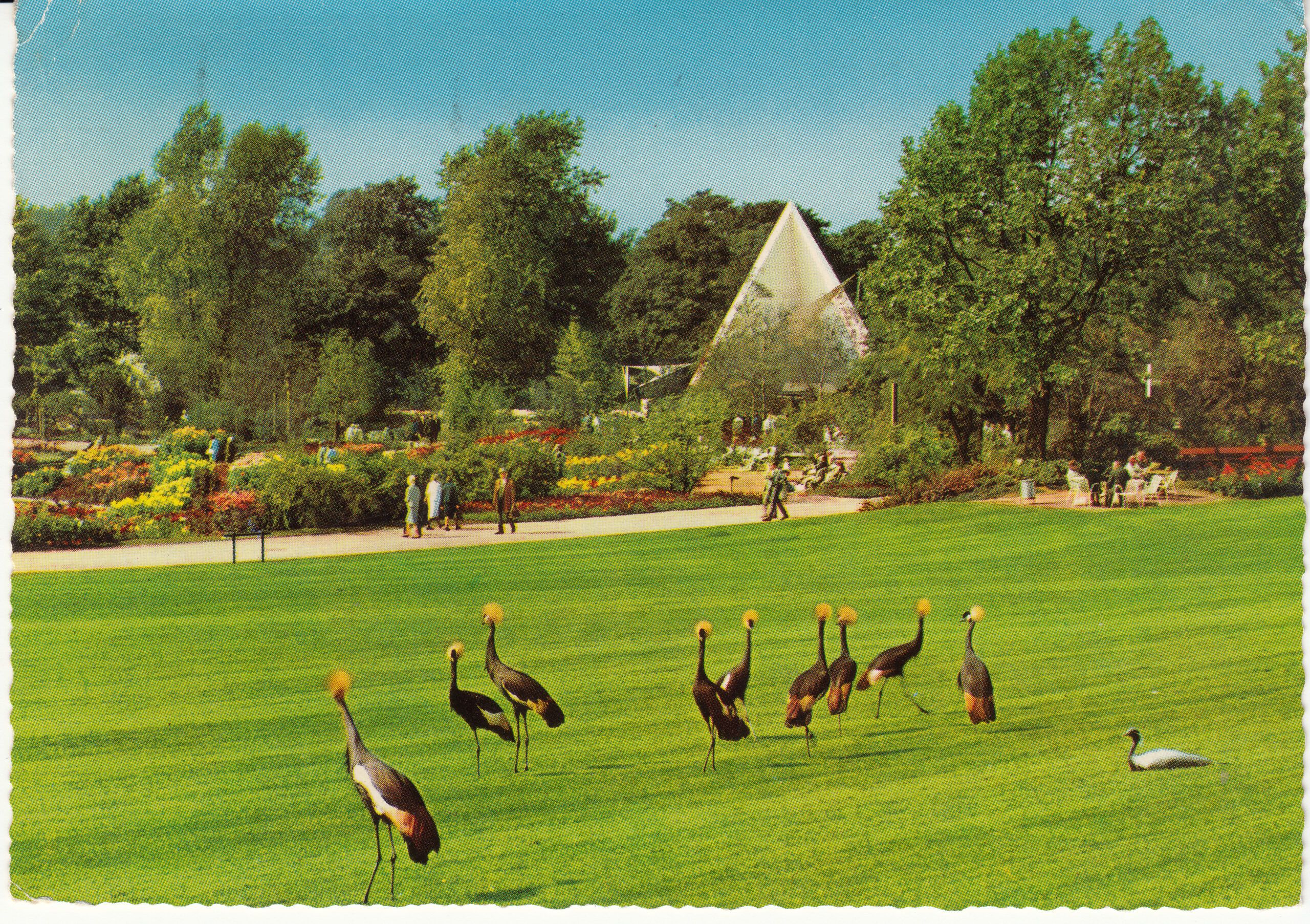 0.977- 26 Krüger Postcard Germany Essen