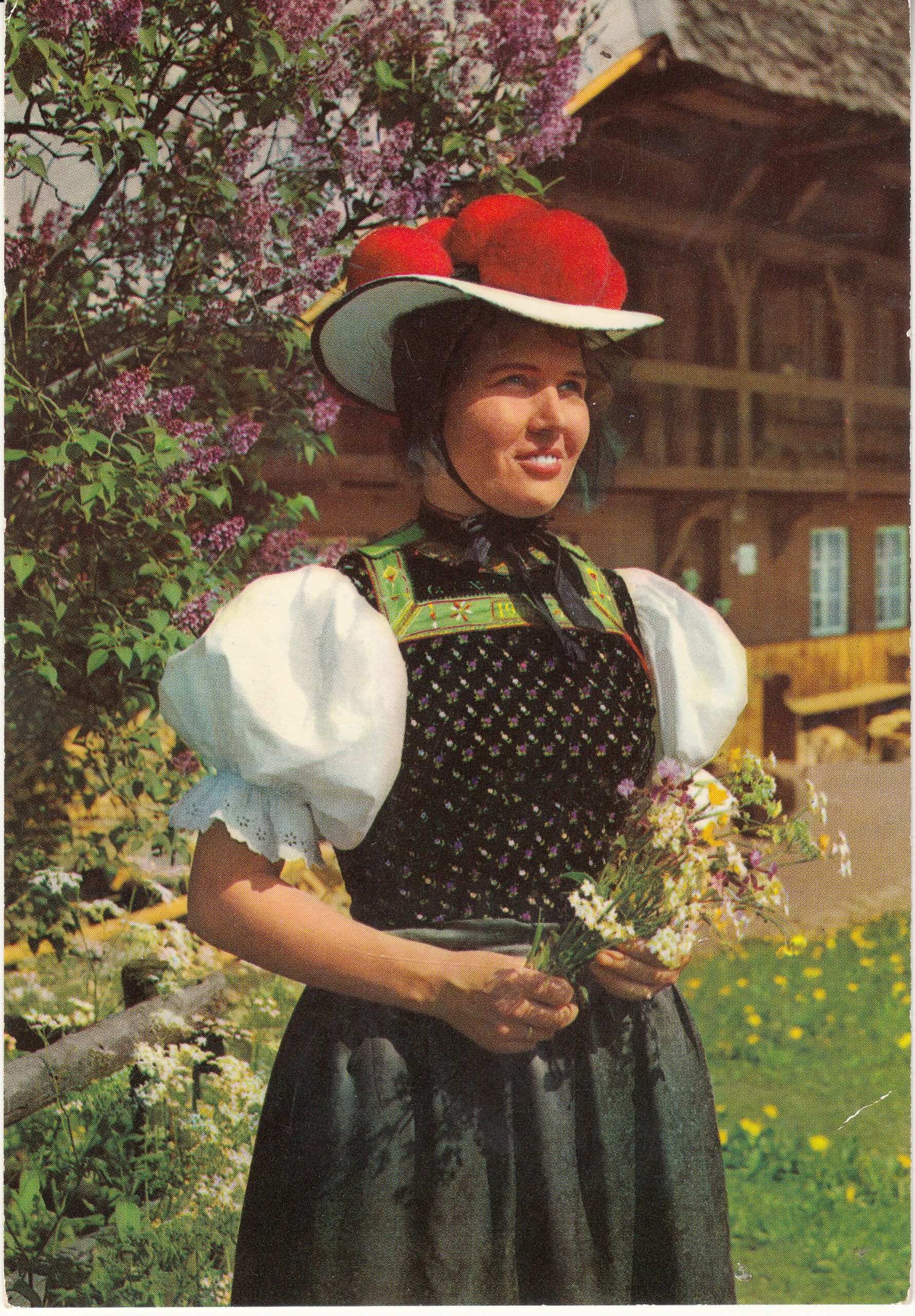 1.036- 12 Krüger Postcard Germany Schwarzwald