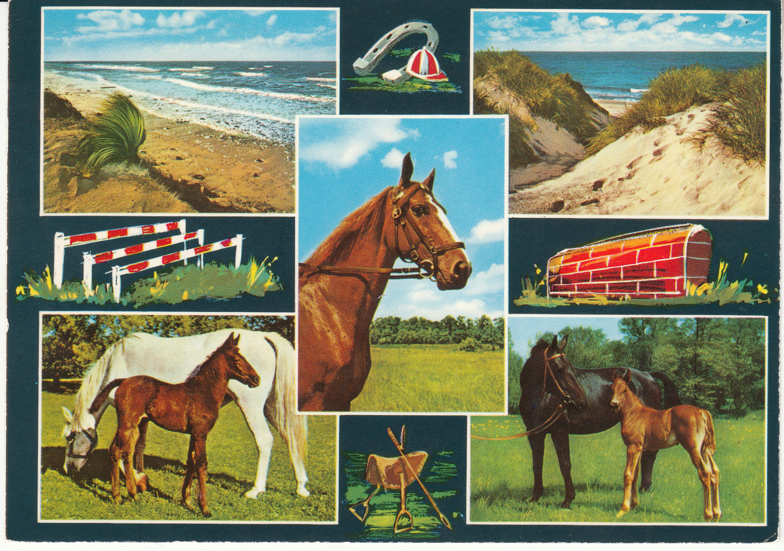 0.916-250.52 Krüger Postcard