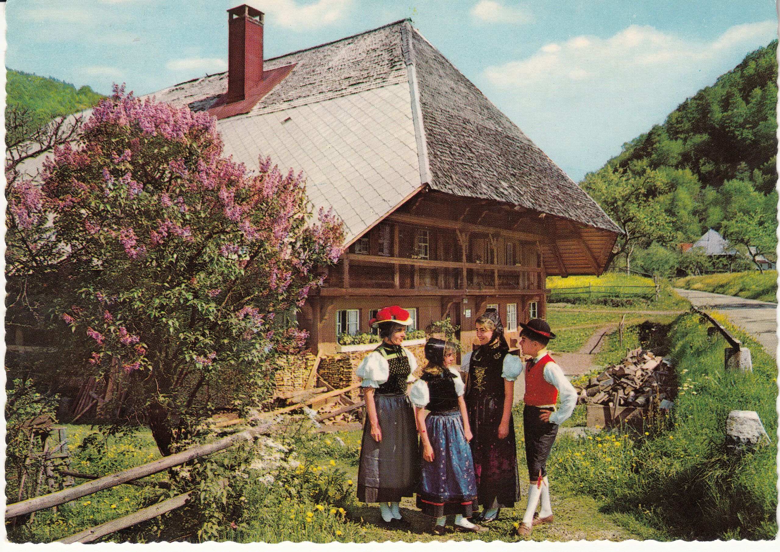 1.036- 3 Krüger Postcard Germany Schwarzwald
