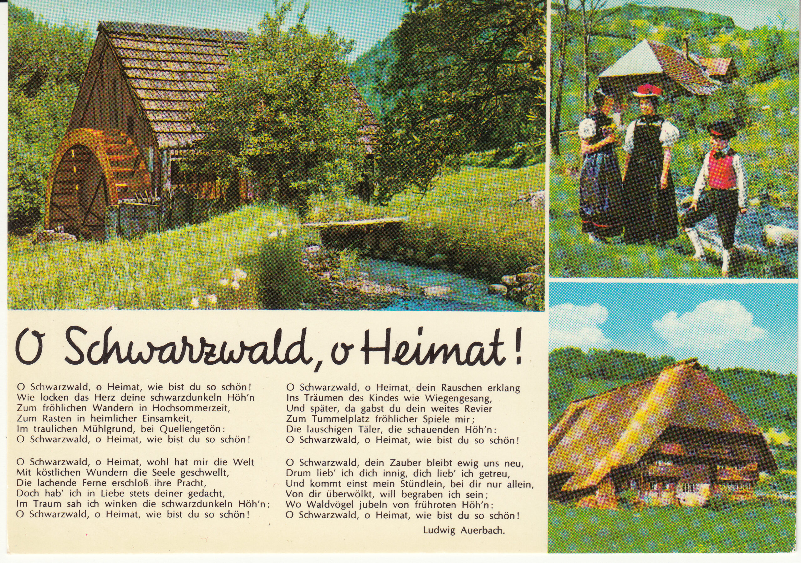 1.036- 28.31 Krüger Postcard Germany Schwarzwald