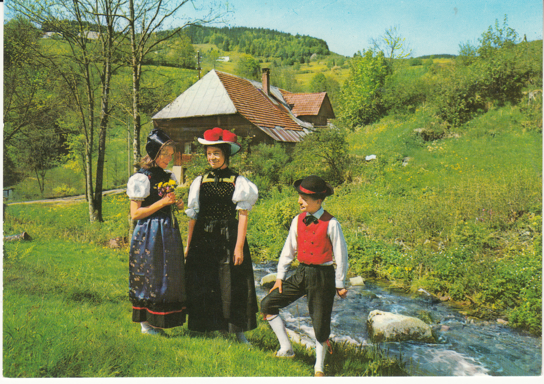1.036- 10.31 Krüger Postcard Germany Schwarzwald
